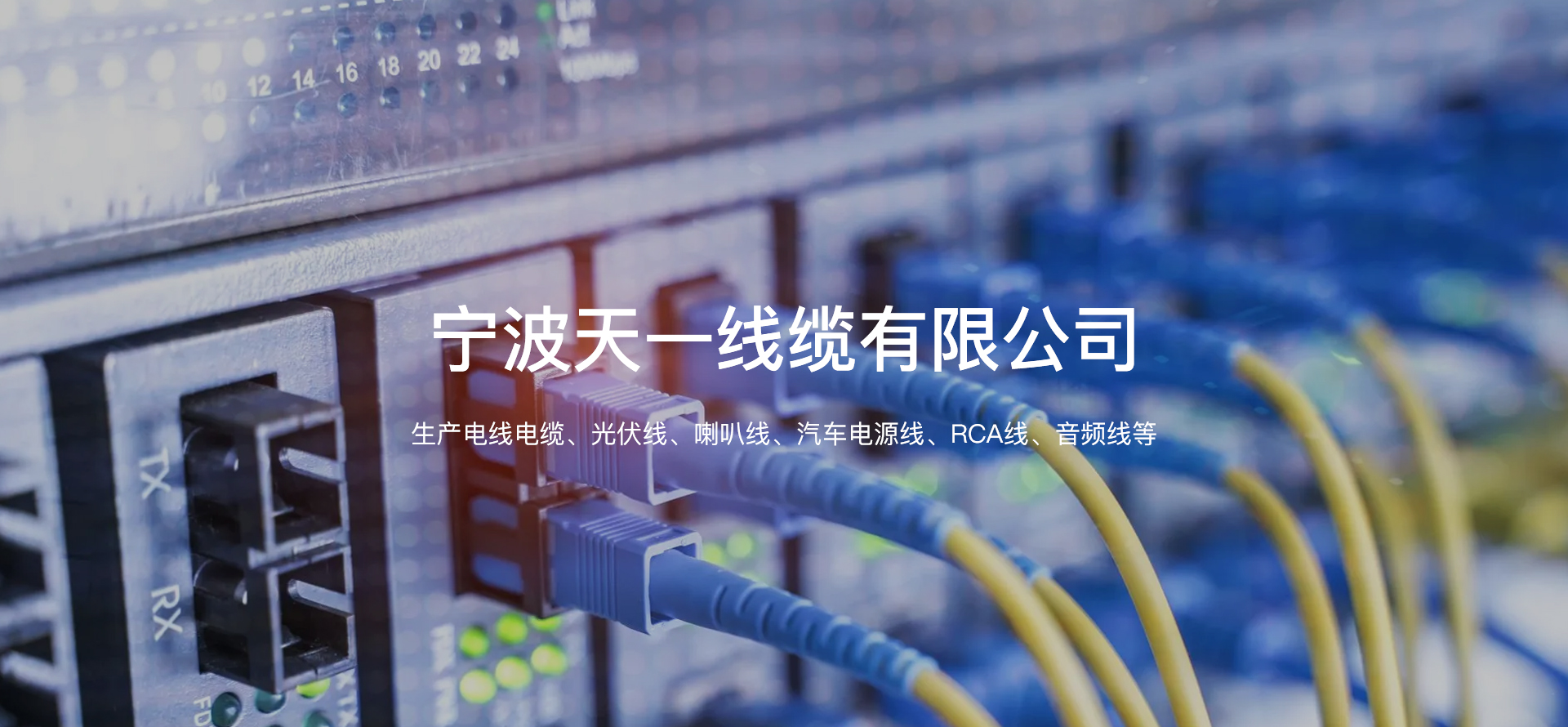 宁波天一线缆有限公司